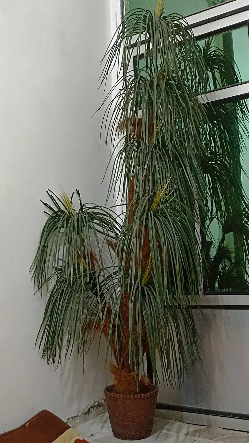 درخت نخل|گل مصنوعی|مریوان, |دیوار