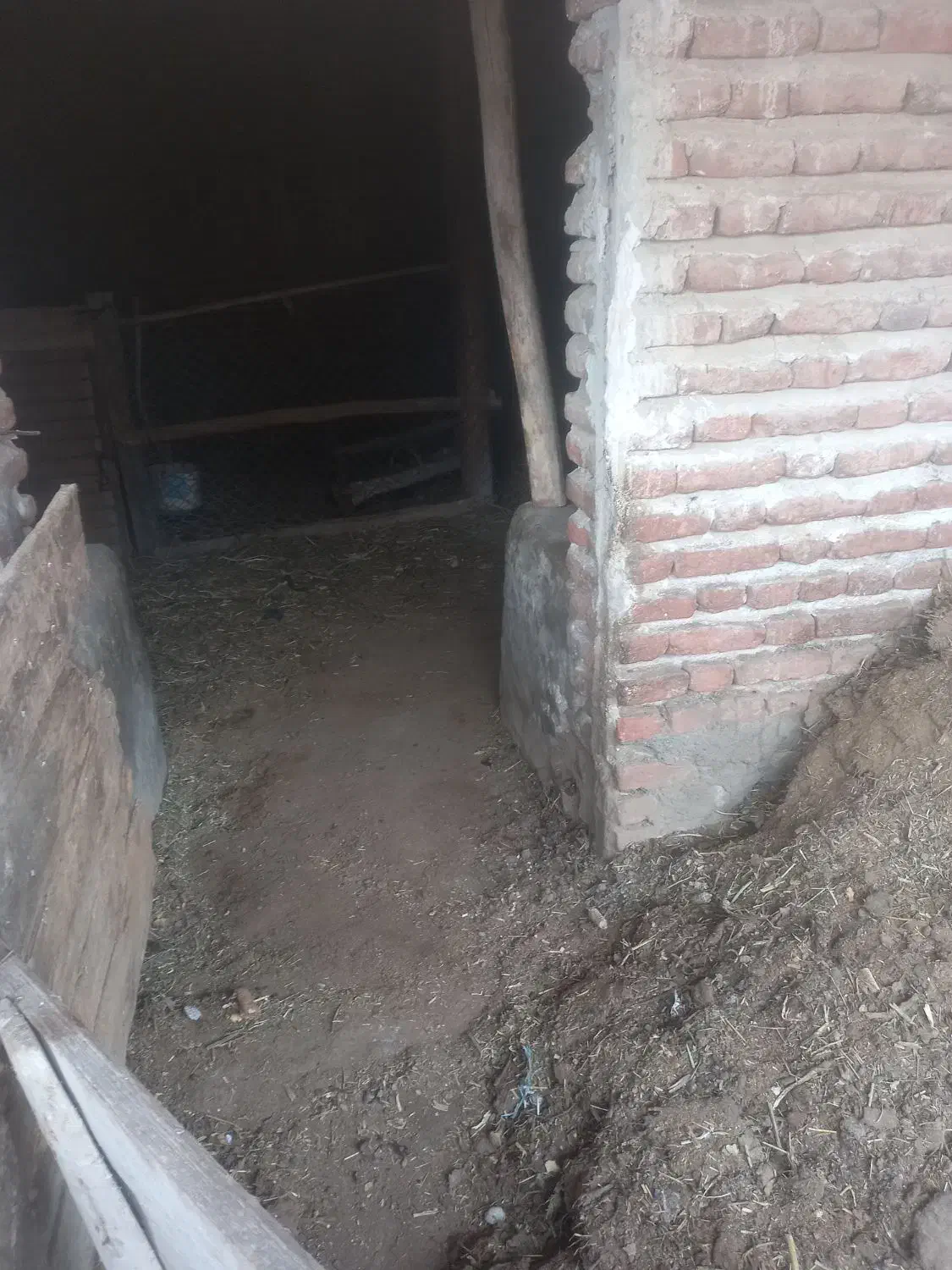 کود حیوانی|لوازم جانبی حیوانات|بناب, |دیوار