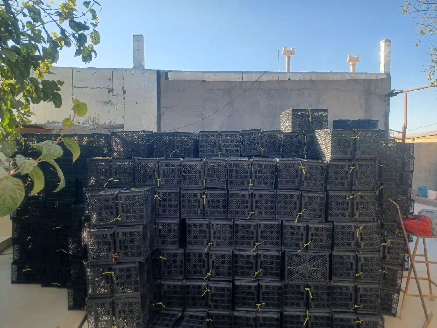 سبد انار|ظروف نگهدارنده، پلاستیکی، یکبارمصرف|کوهنانی, |دیوار