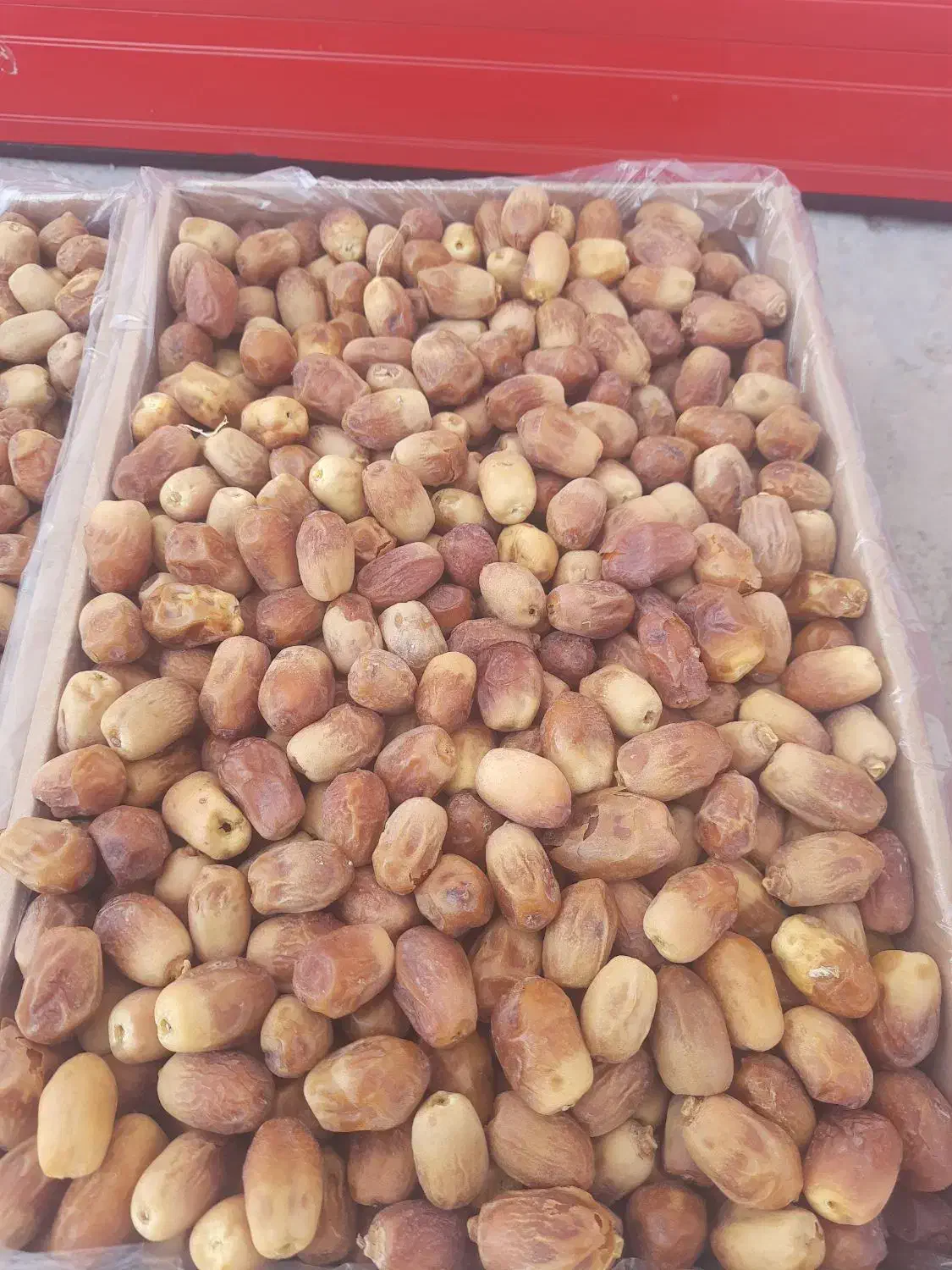 خرمای زاهدی درجه یک فقط تناژ|عمده‌فروشی|فراشبند, |دیوار