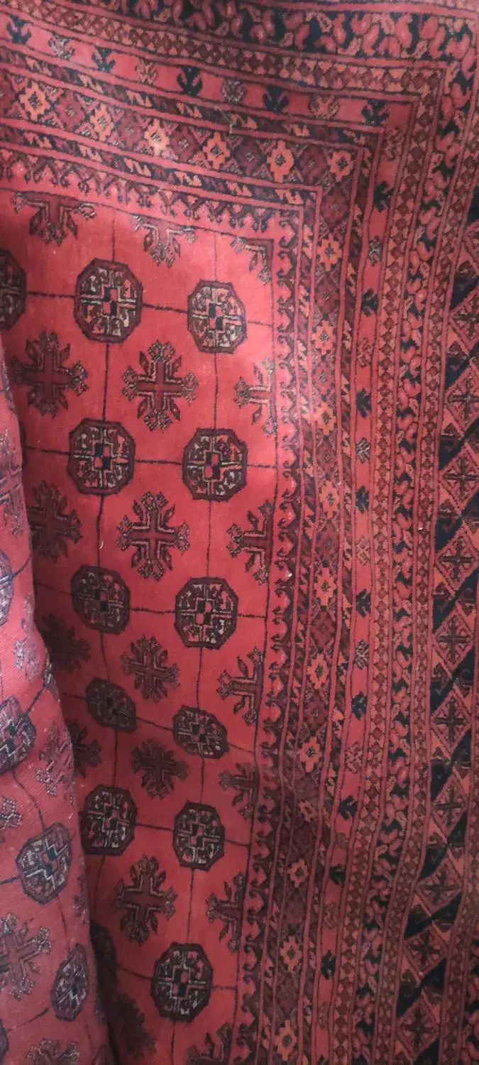 فرش دستباف|فرش|زاهدان, |دیوار