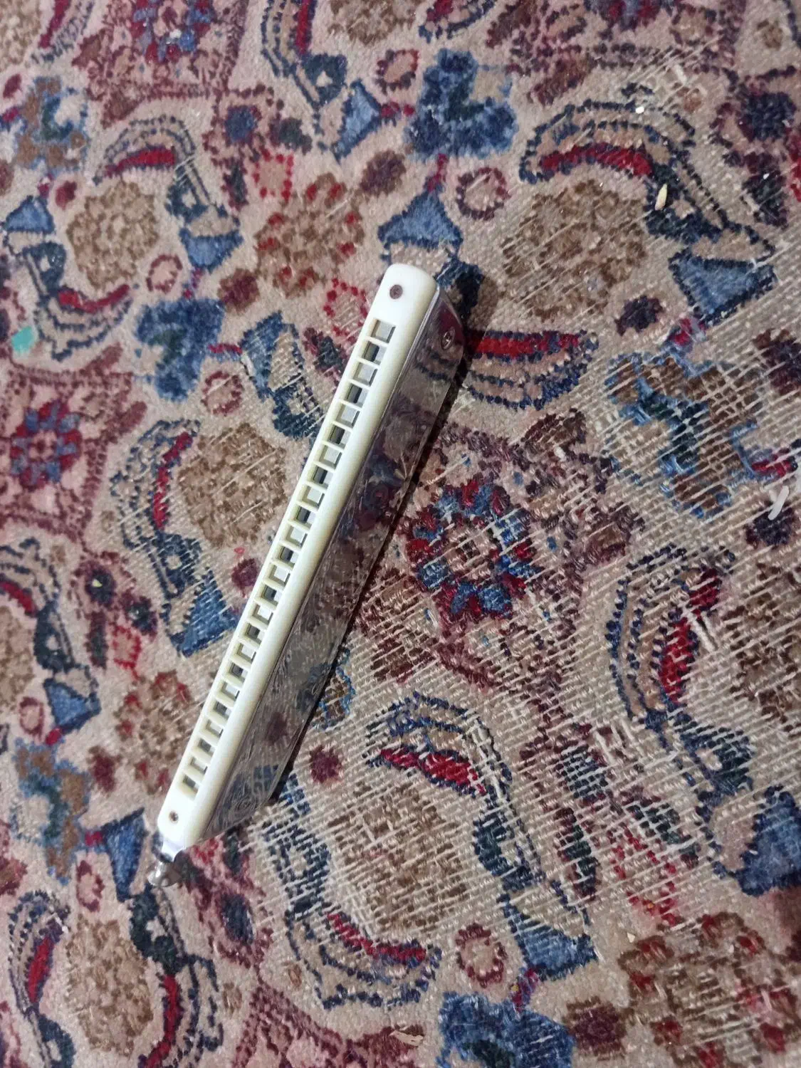 سازدهنی گلدن کاپ|سازهای بادی|تبریز, |دیوار