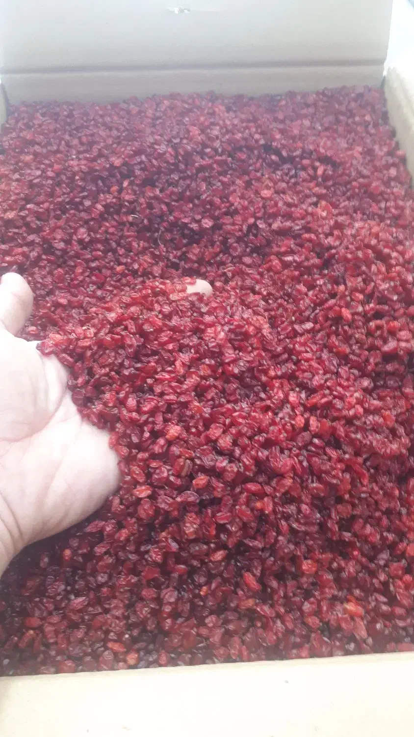 زرشک دونه اناری ۴۰۴|خوردنی و آشامیدنی|قائن, |دیوار