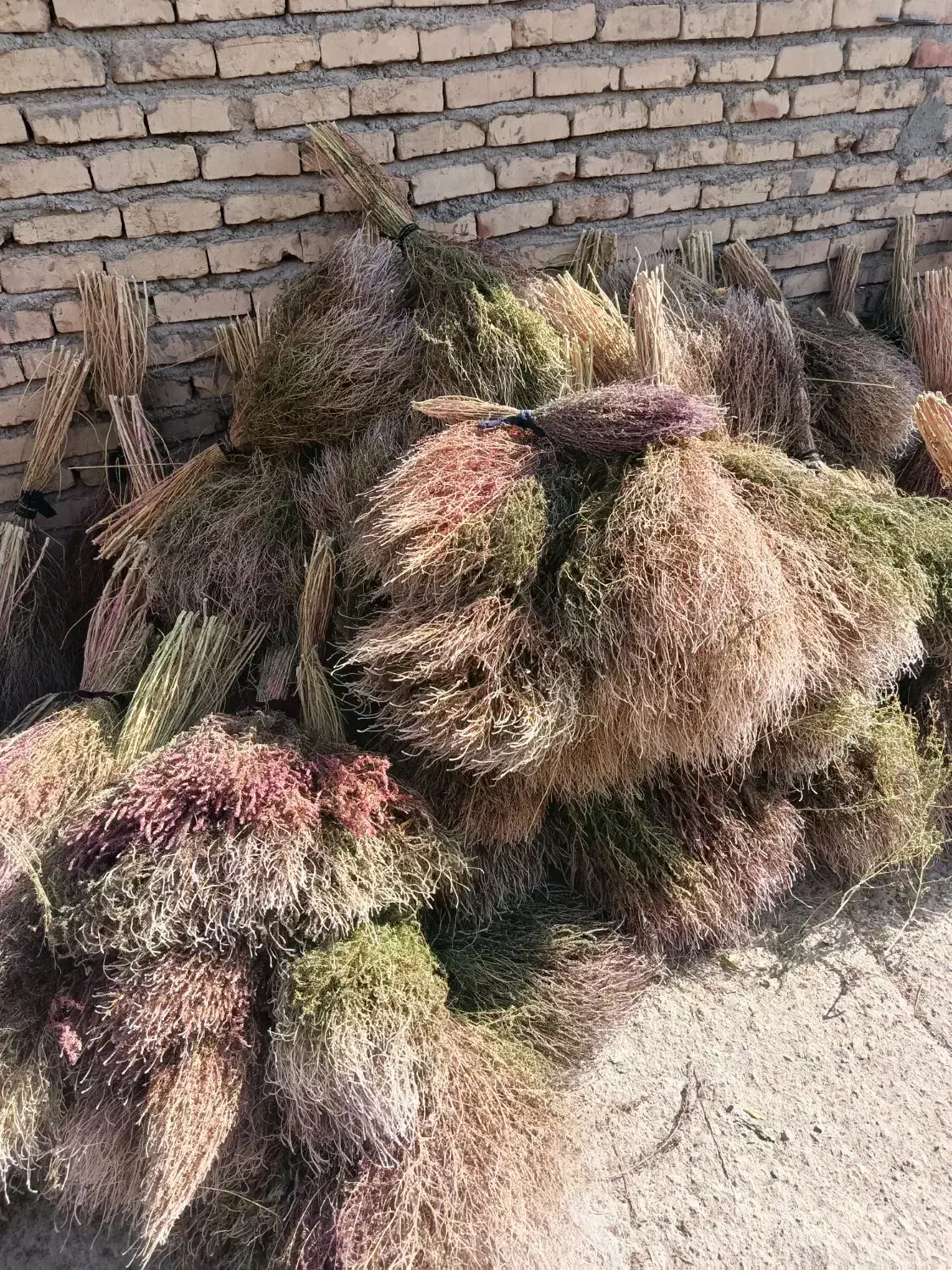 جارو کشمونی|لوازم نظافت|مود, |دیوار