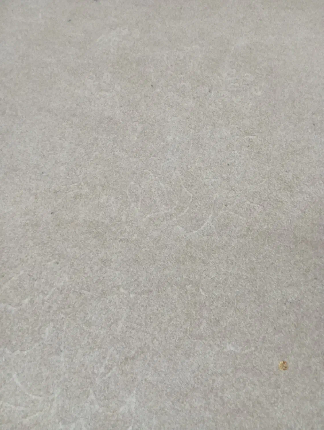 موکت|موکت|سقز, |دیوار