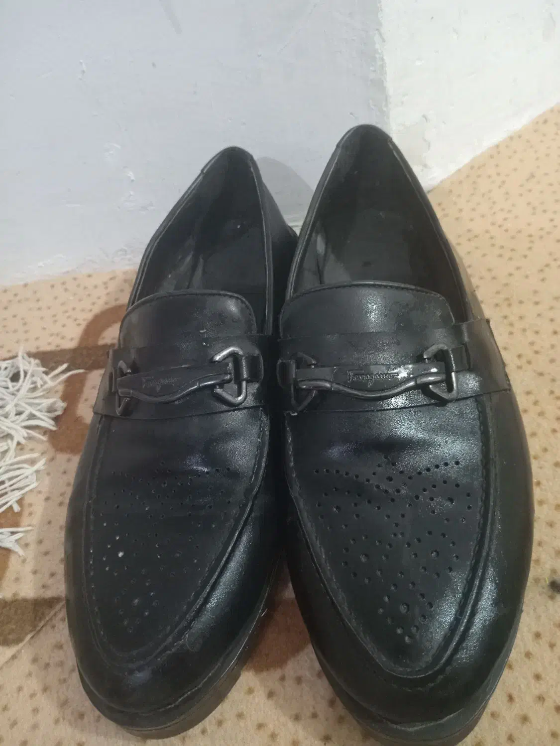 کفش ها|کیف، کفش، کمربند|قوچان, |دیوار