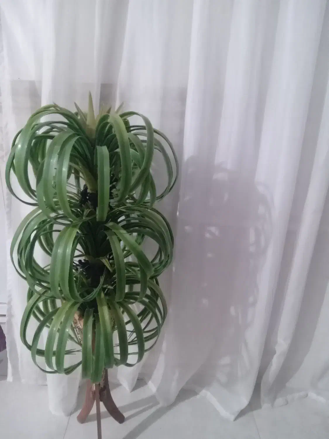 سلام گل مصنوعی|گل مصنوعی|تربتحیدریه, پائین ولایت|دیوار