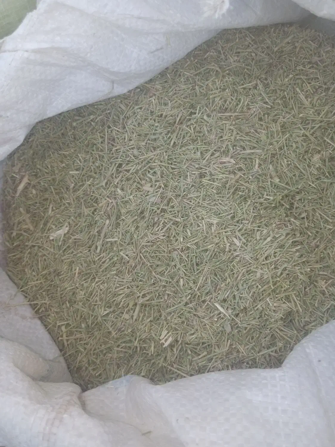 کاه خار شتر|عمده‌فروشی|فیروزه, |دیوار