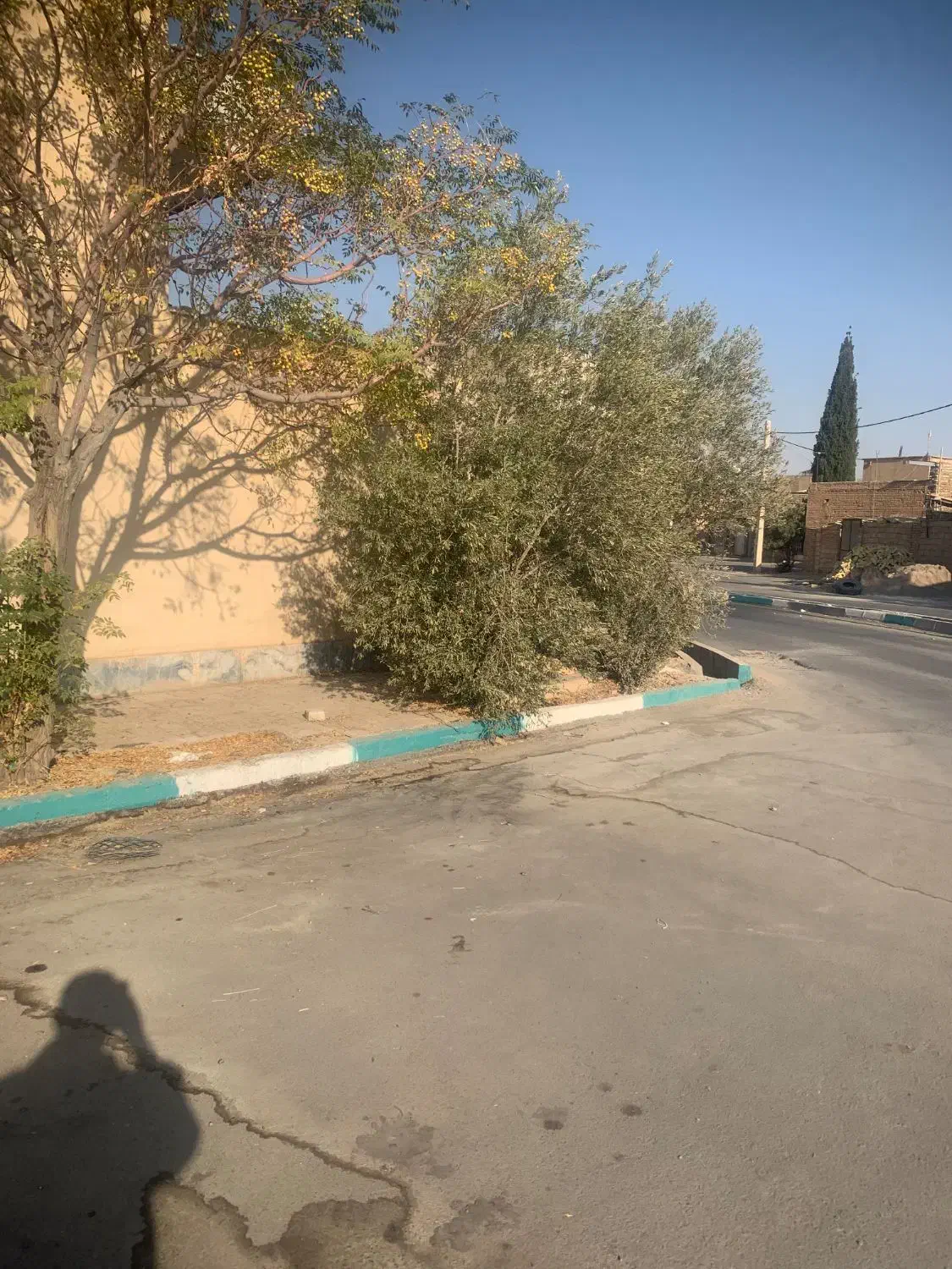 فروش ملک تجاری شده  ۱۸۵ متری بر میدان|فروش مغازه و غرفه|مهریز, |دیوار