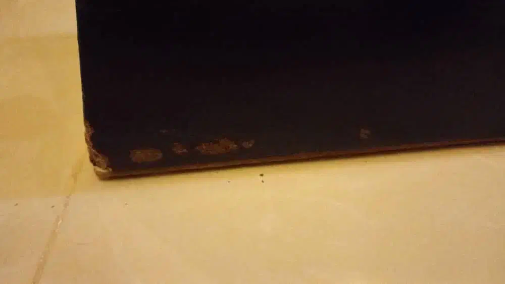 میز|مبلمان خانگی و میز عسلی|اراک, |دیوار