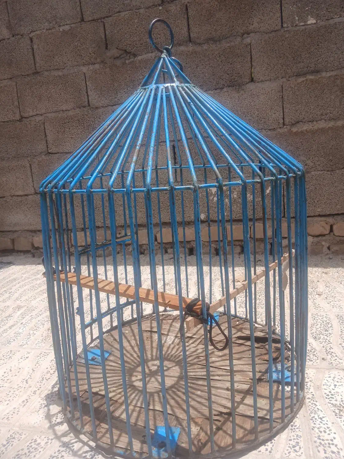 قفس بزرگ|لوازم جانبی حیوانات|کرمان, |دیوار