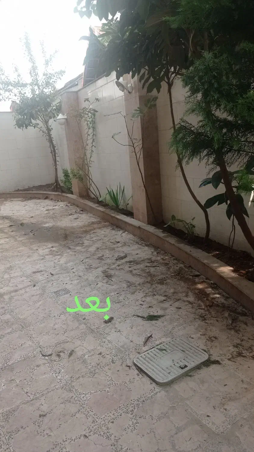 هرس و باغبانی|خدمات باغبانی و درختکاری|رشت, توشیبا|دیوار