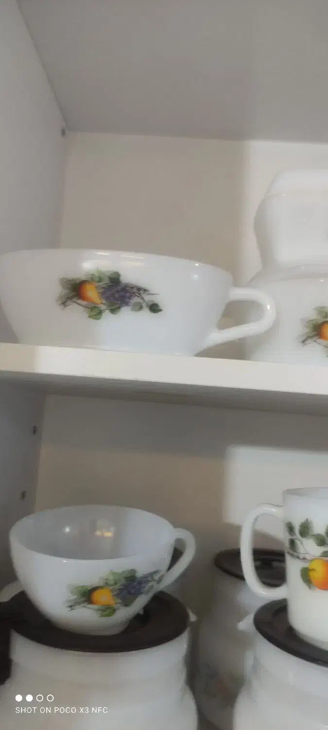 ظروف سیب وگلابی یا گل میوه|ظروف سرو و پذیرایی|زاهدان, |دیوار