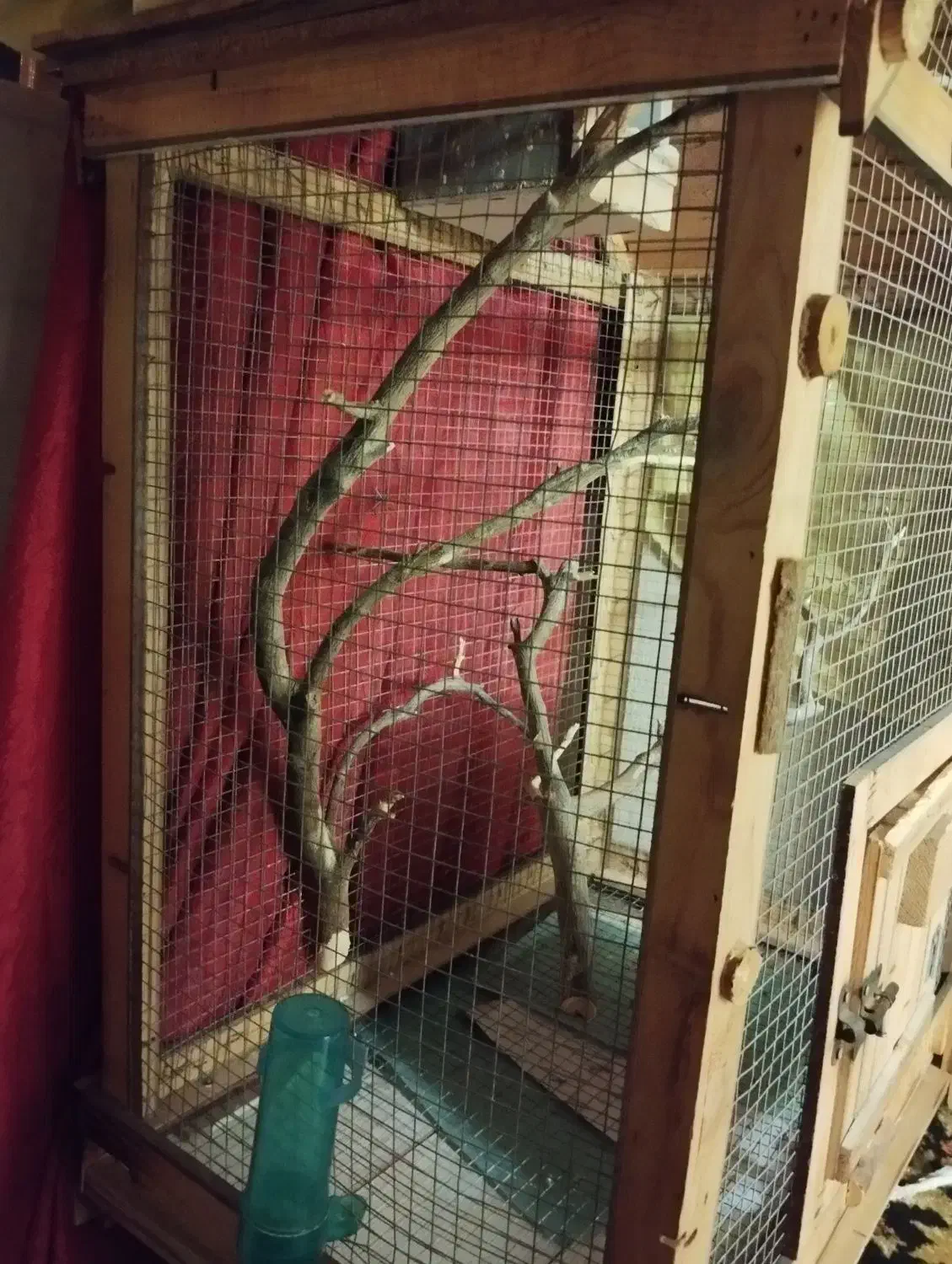 قفس پرنده چوبی|لوازم جانبی حیوانات|سمنان, |دیوار