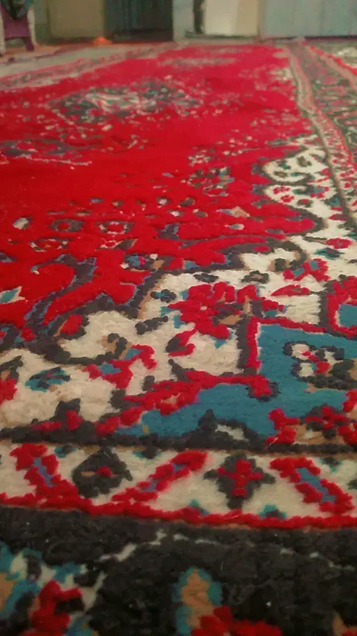 کناره|فرش|چناران, |دیوار