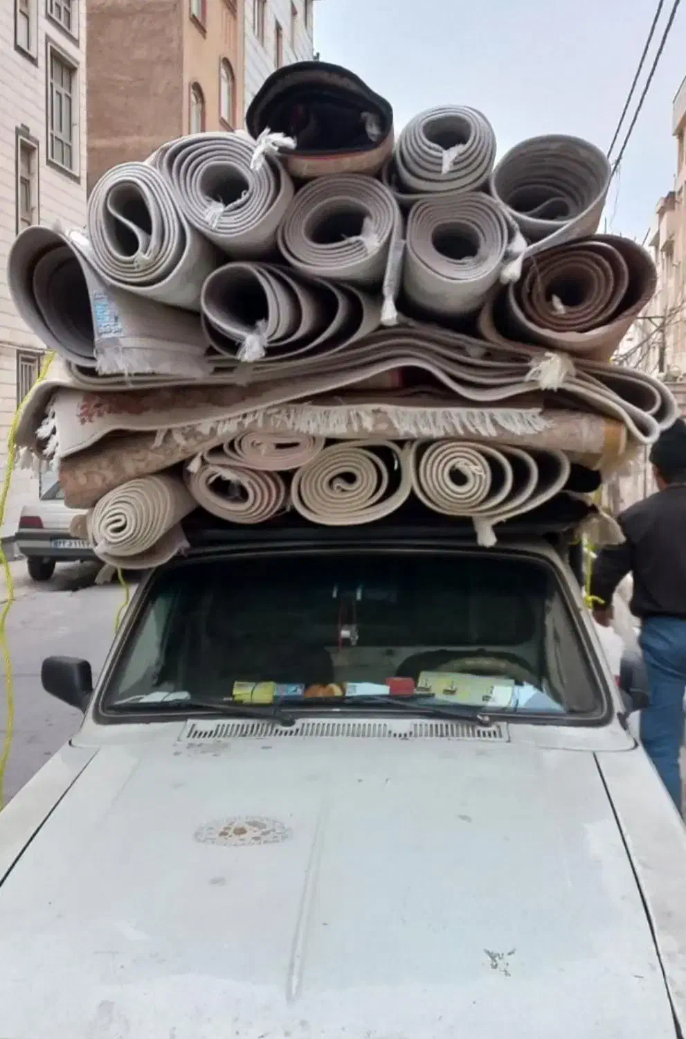 قالیشویی پارسیان|خدمات نظافت|گنبد کاووس, |دیوار