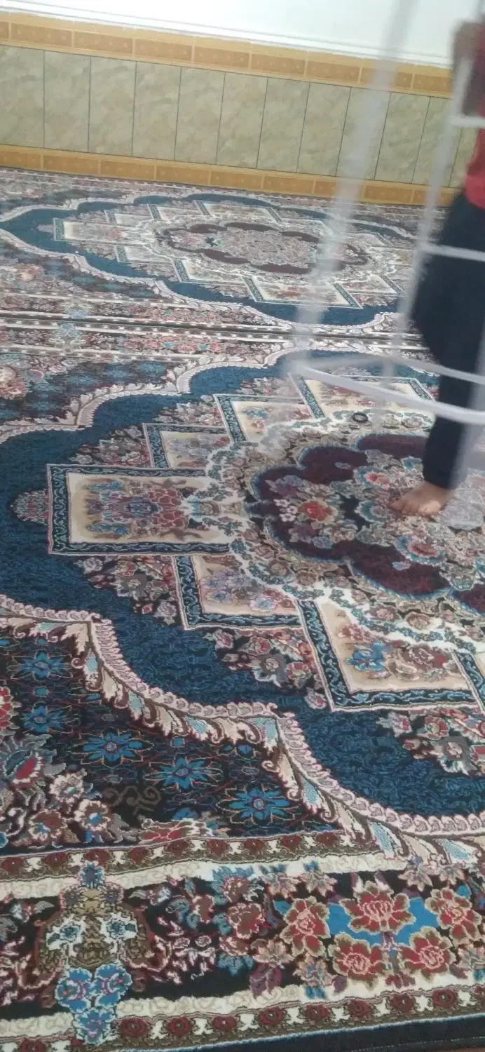 فرش|فرش|دهدشت, |دیوار