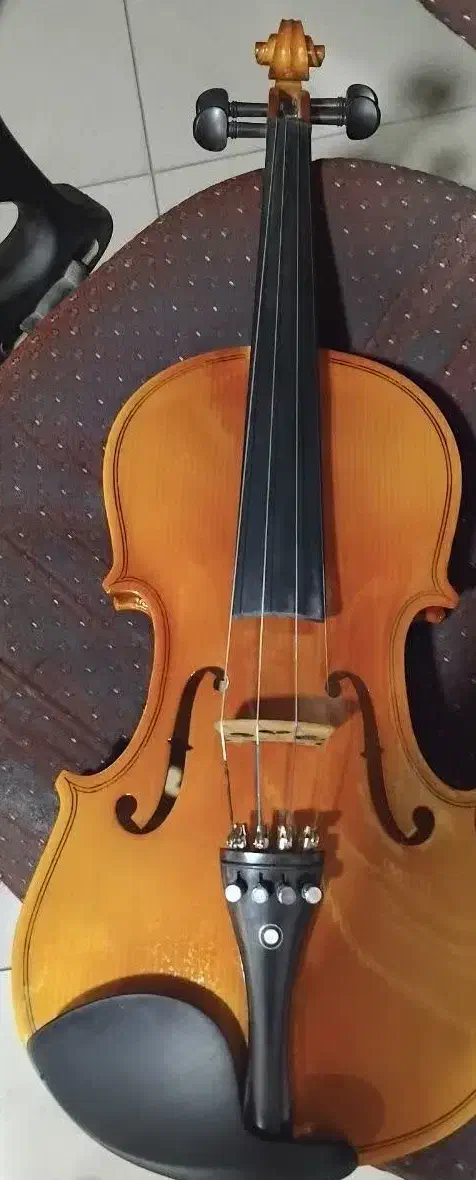 ویولون|ویولن|اندیمشک, |دیوار