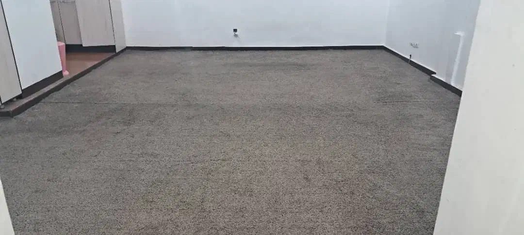 پالاز موکت پرز بلند|موکت|دزفول, |دیوار