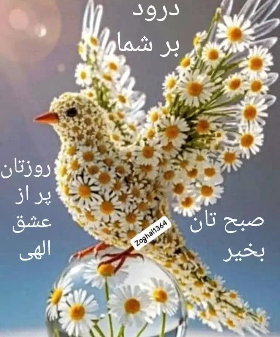 زمینهای پلاک 95فرعی از245اصلی آموزش وپرورش بیرجنی|فروش زمین و ملک کلنگی|سرایان, |دیوار