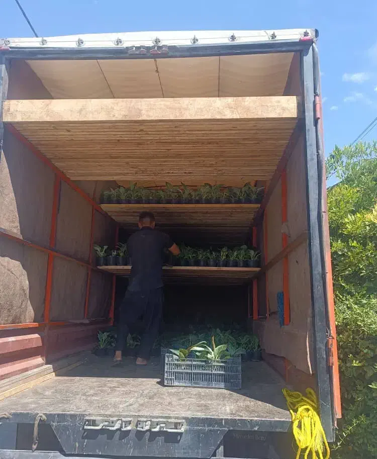 باربری / حمل گل‌های آپارتمانی و حمل اثاثیه|خدمات حمل و نقل|محلات, |دیوار