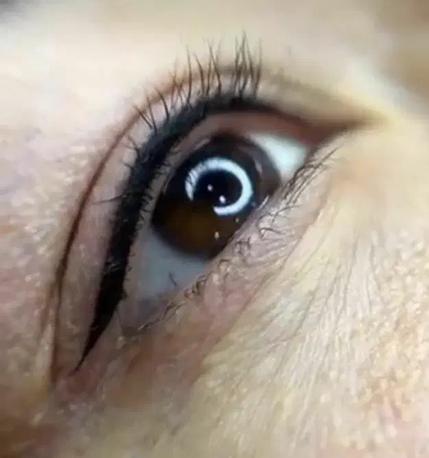 ارایشگر در منزل و محل شما|خدمات آرایشگری و زیبایی|شیراز, شهرک جماران|دیوار