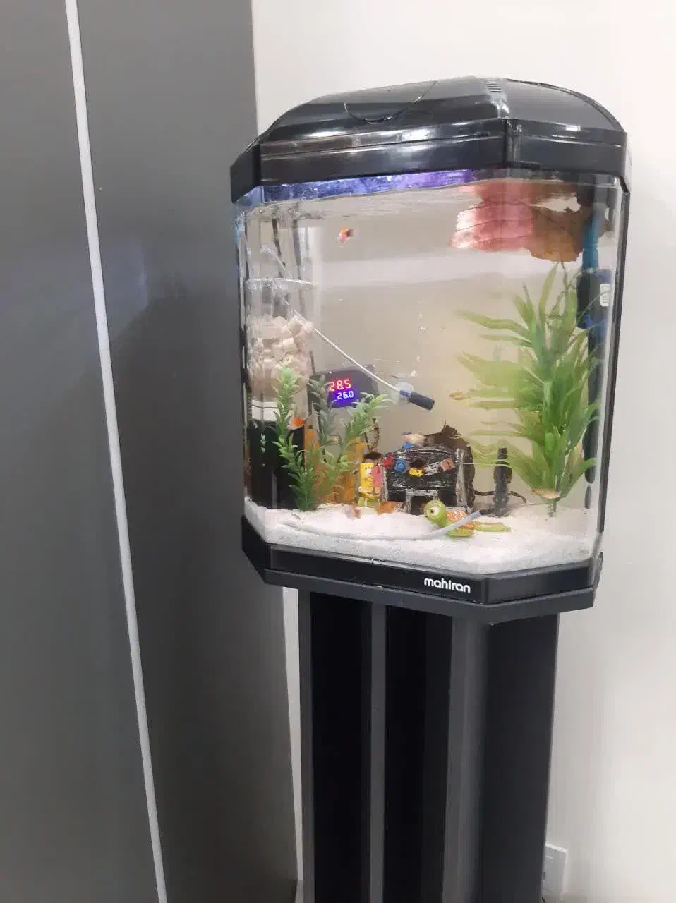 آکواریوم ماهیران مدل MB1104|ماهی|همدان, |دیوار