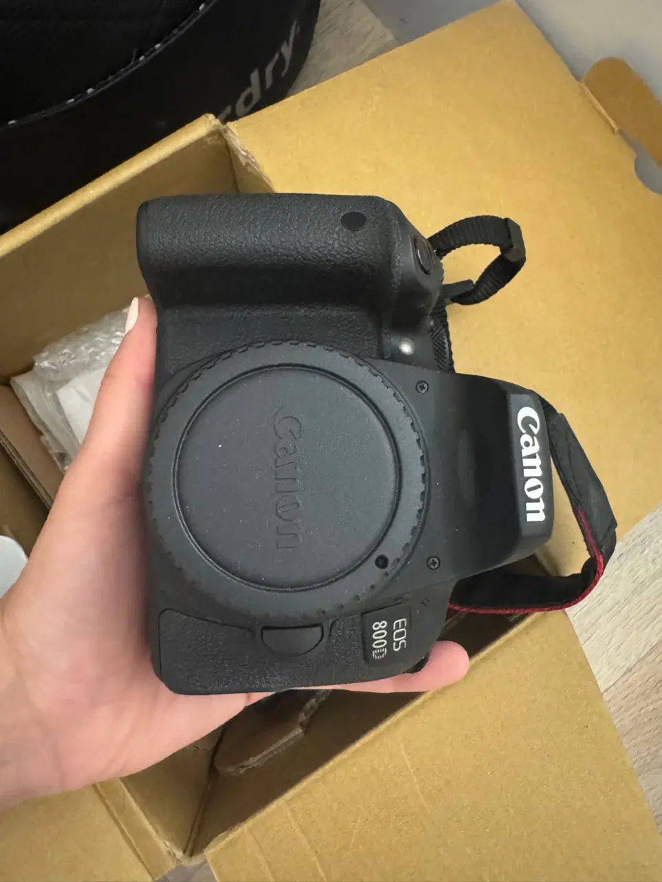 دوربین Canon 800D|دوربین عکاسی و فیلمبرداری|تهران, فدک|دیوار