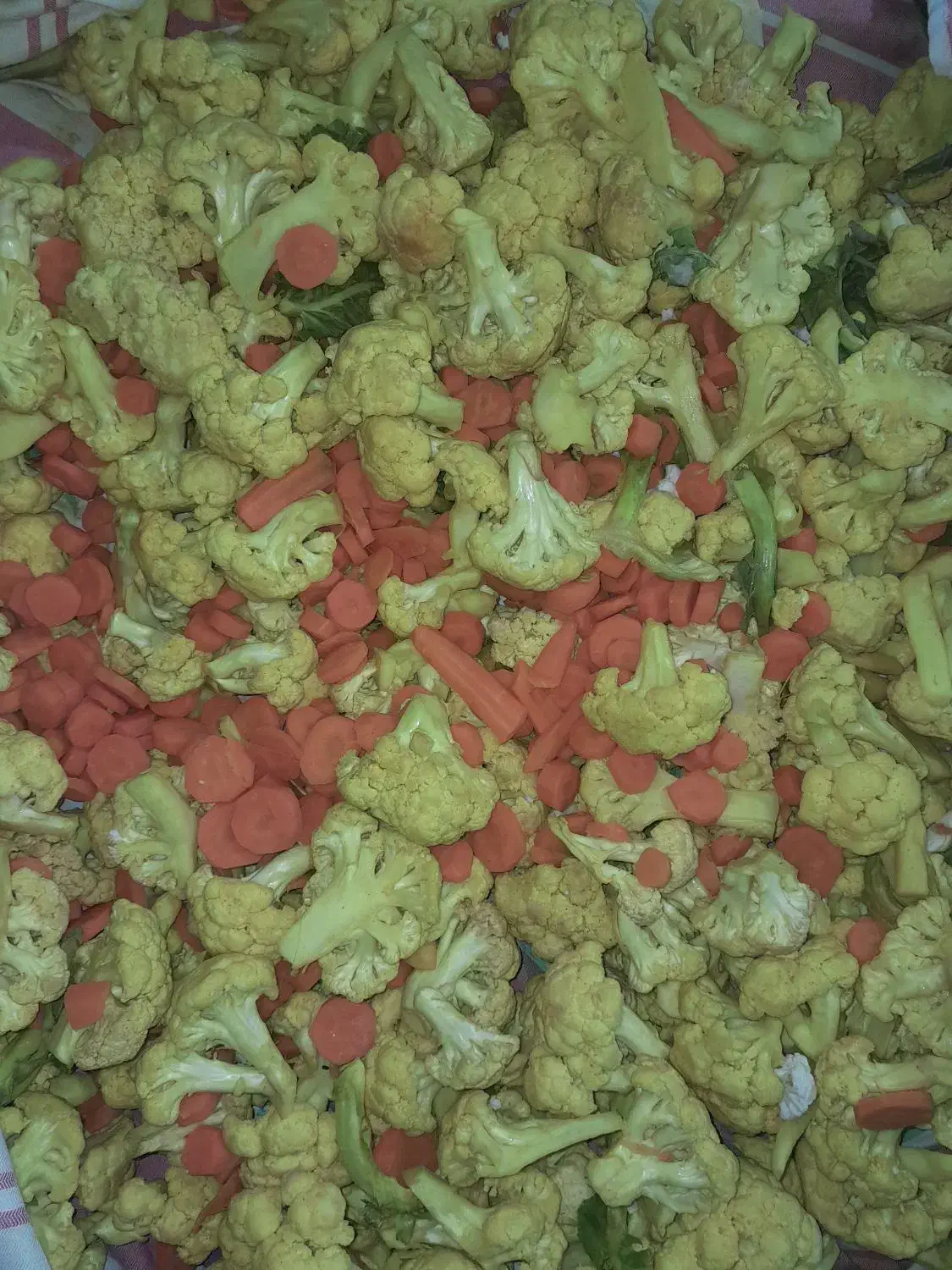 مواد غذایی|خوردنی و آشامیدنی|افزر, |دیوار