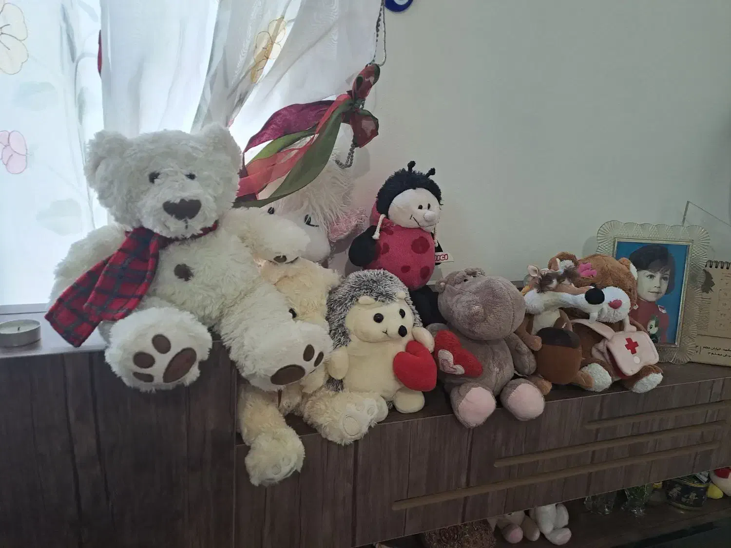 انواع عروسک تدی|اسباب‌‌بازی|مشهد, تربیت (صدف)|دیوار