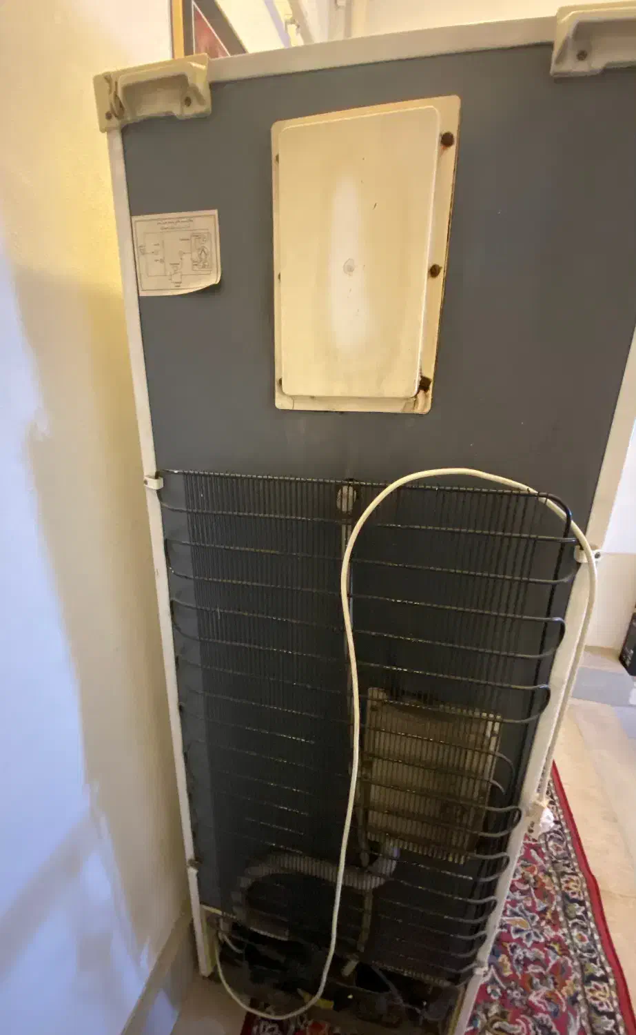 پخچال فریزر|یخچال و فریزر|رشت, جهاد|دیوار