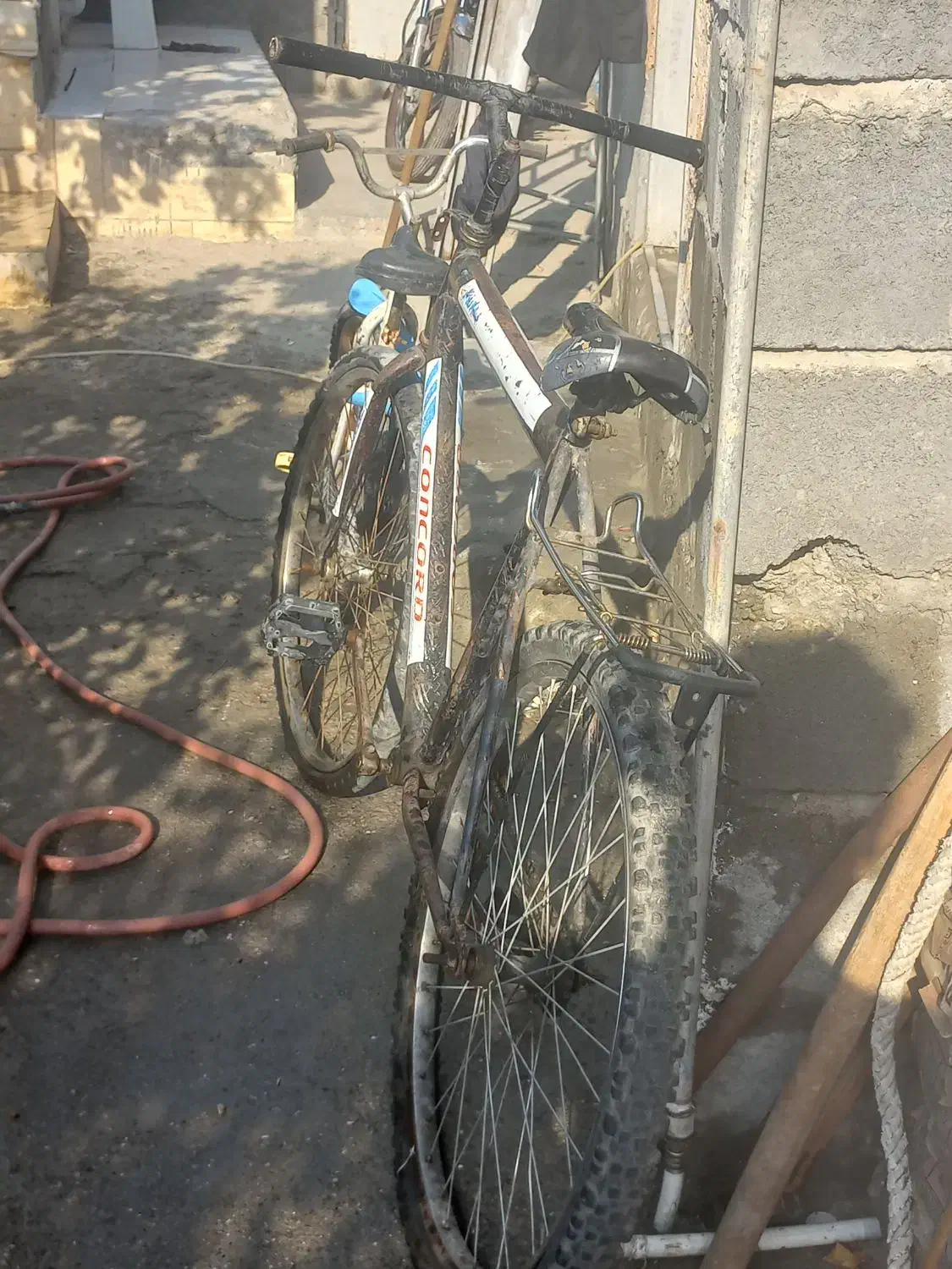 دوچرخه|دوچرخه، اسکیت، اسکوتر|میناب, |دیوار