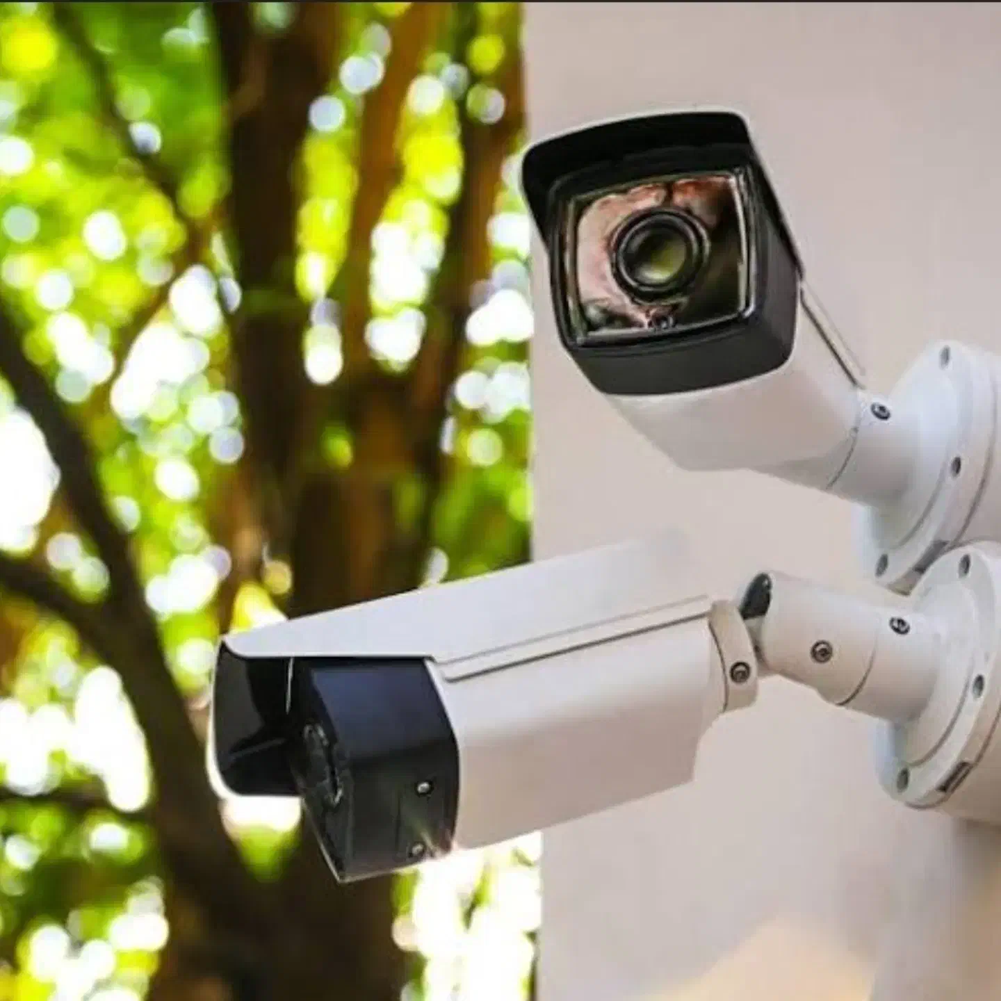 دوربین مدار بسته|دوربین مداربسته|عجب شیر, |دیوار