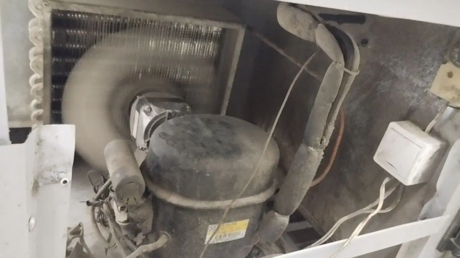 یخچال شیشه خم|فروشگاه و مغازه|مشهد, انقلاب|دیوار