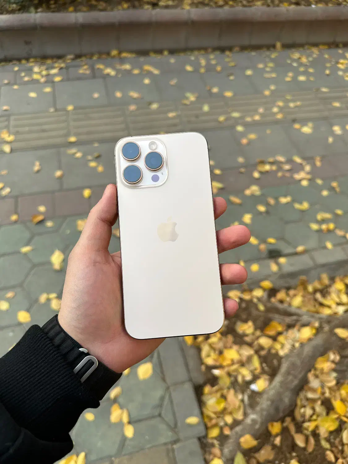 ۱۶ پرومکس شرکتی ۲۵۶گیگ|موبایل|تبریز, |دیوار