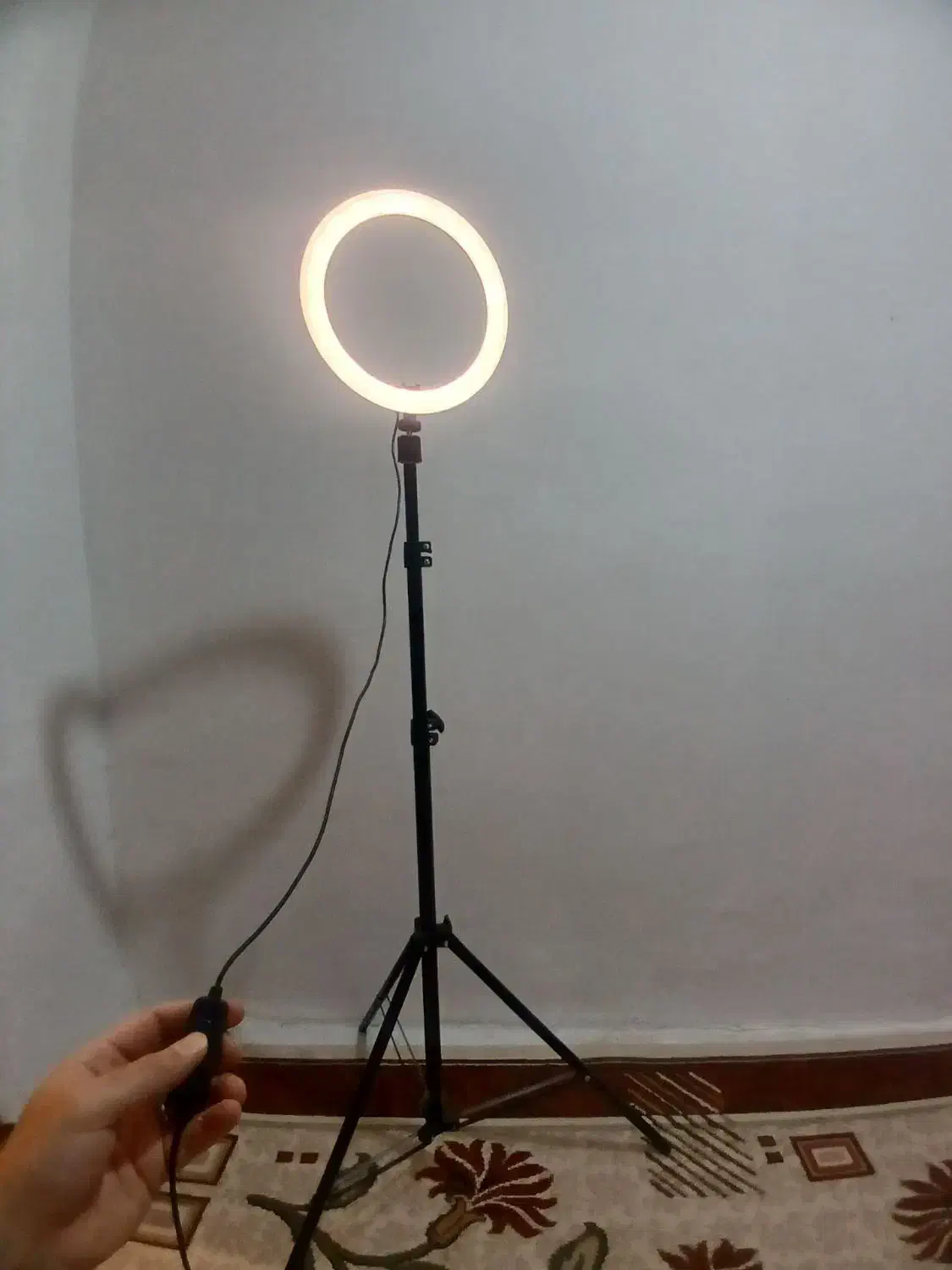 رینگ لایت|دوربین عکاسی و فیلم‌برداری|همدان, |دیوار