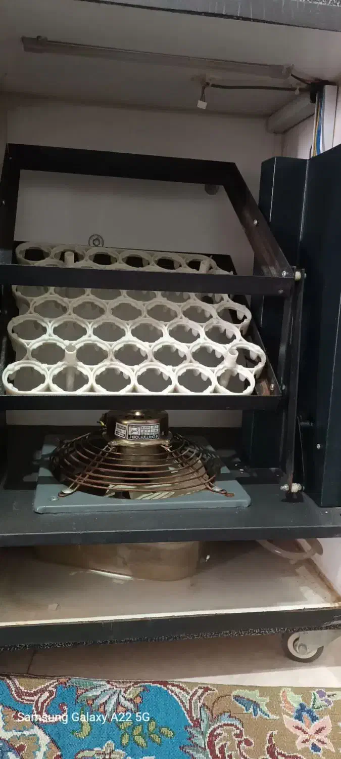 جوجه کشی|لوازم جانبی حیوانات|قدس, شهرقدس|دیوار