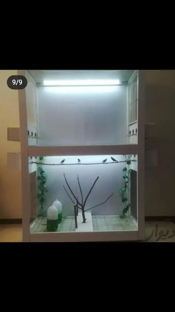 قفس پرنده وکبوتر|لوازم جانبی حیوانات|فردیس, شهرک وحدت|دیوار