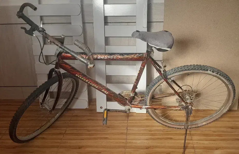 دوچرخه ۲۶|دوچرخه، اسکیت، اسکوتر|اردل, |دیوار