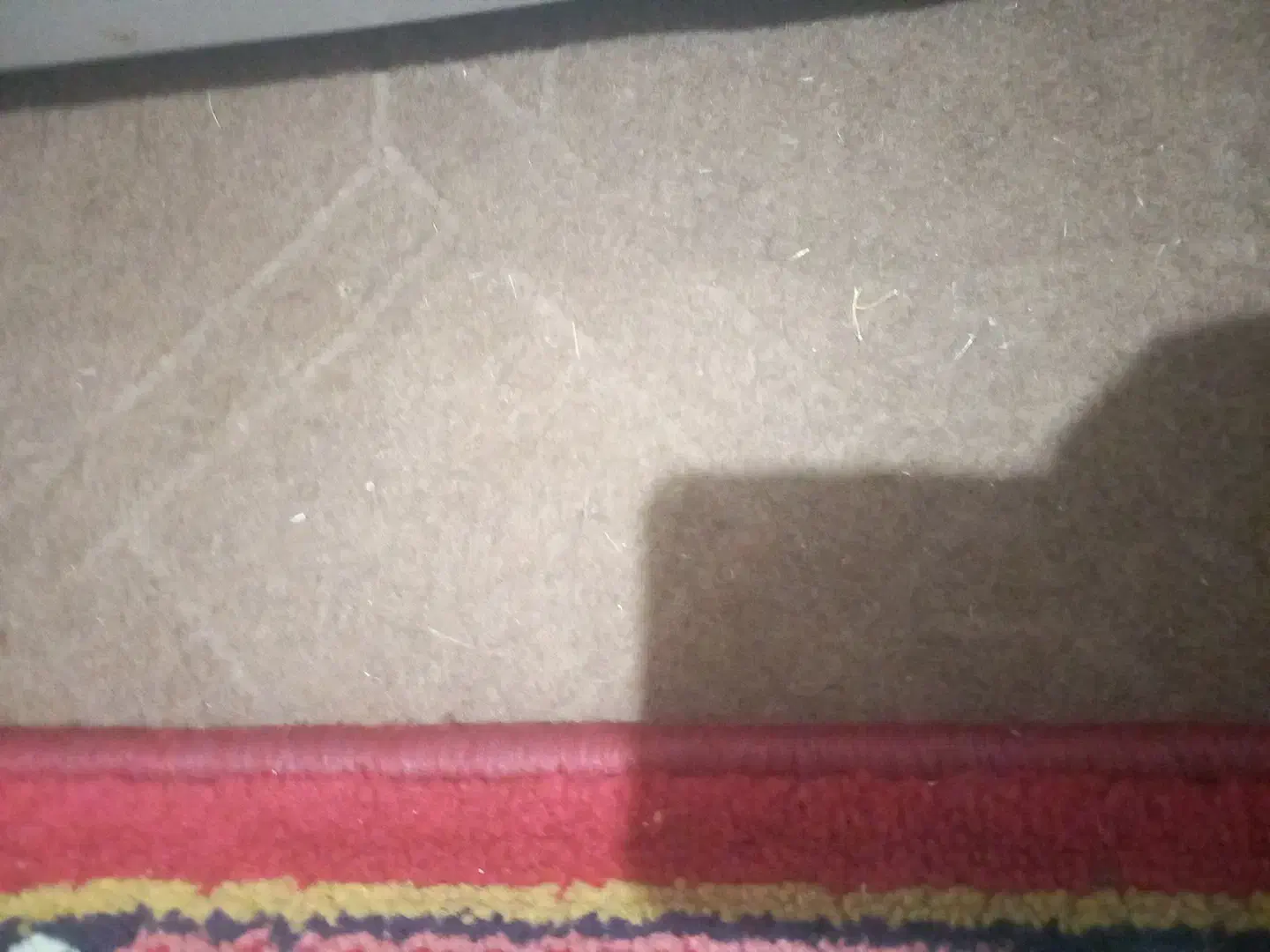 موکت قهوه ای|موکت|اندیشه, اندیشه فاز ۱|دیوار