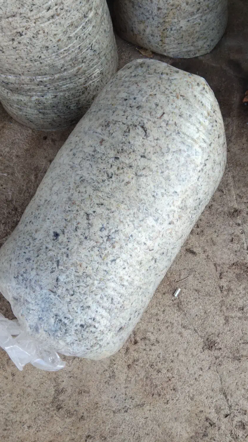 تفاله چغندر میاندواب|لوازم جانبی حیوانات|لیلان, |دیوار