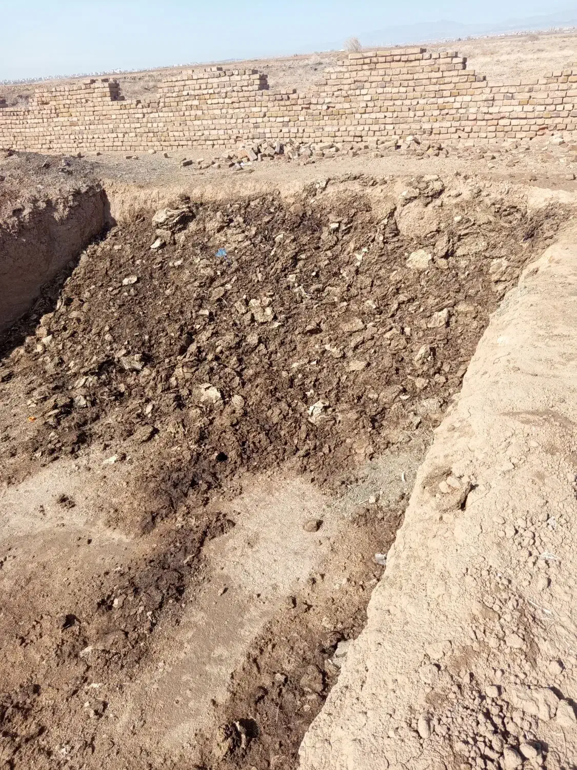 کود مرغ|لوازم جانبی حیوانات|سبزوار, قصبه شرقی|دیوار