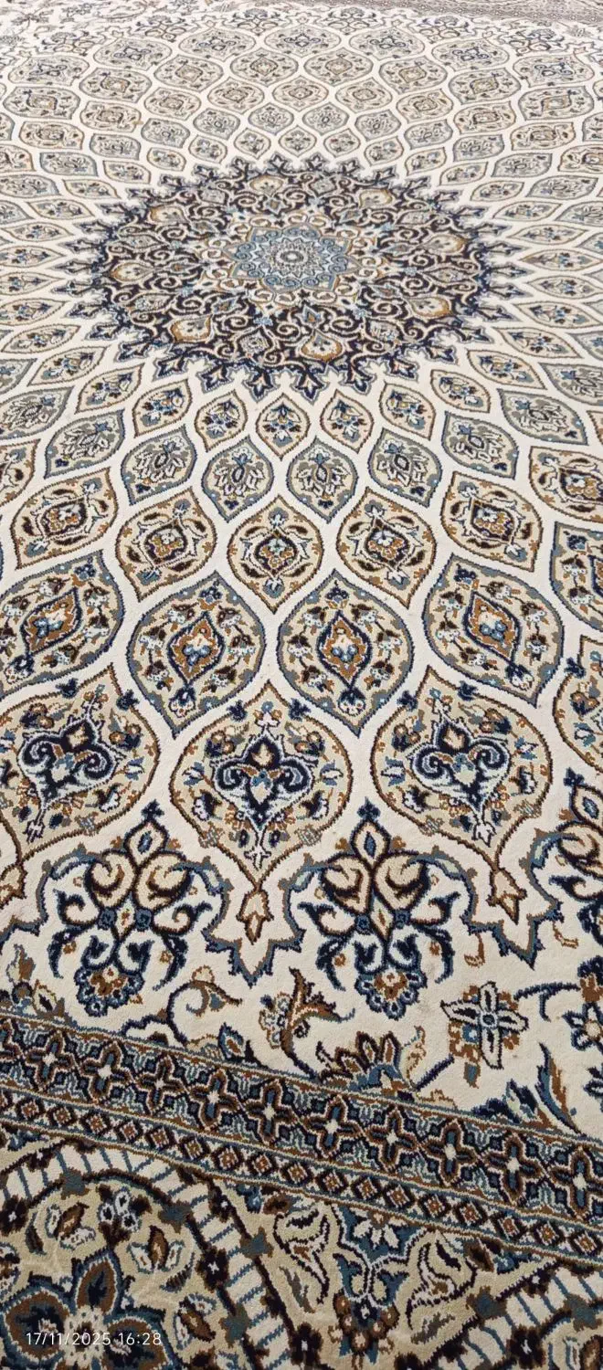 قالی 12متری|فرش|آق قلا, |دیوار