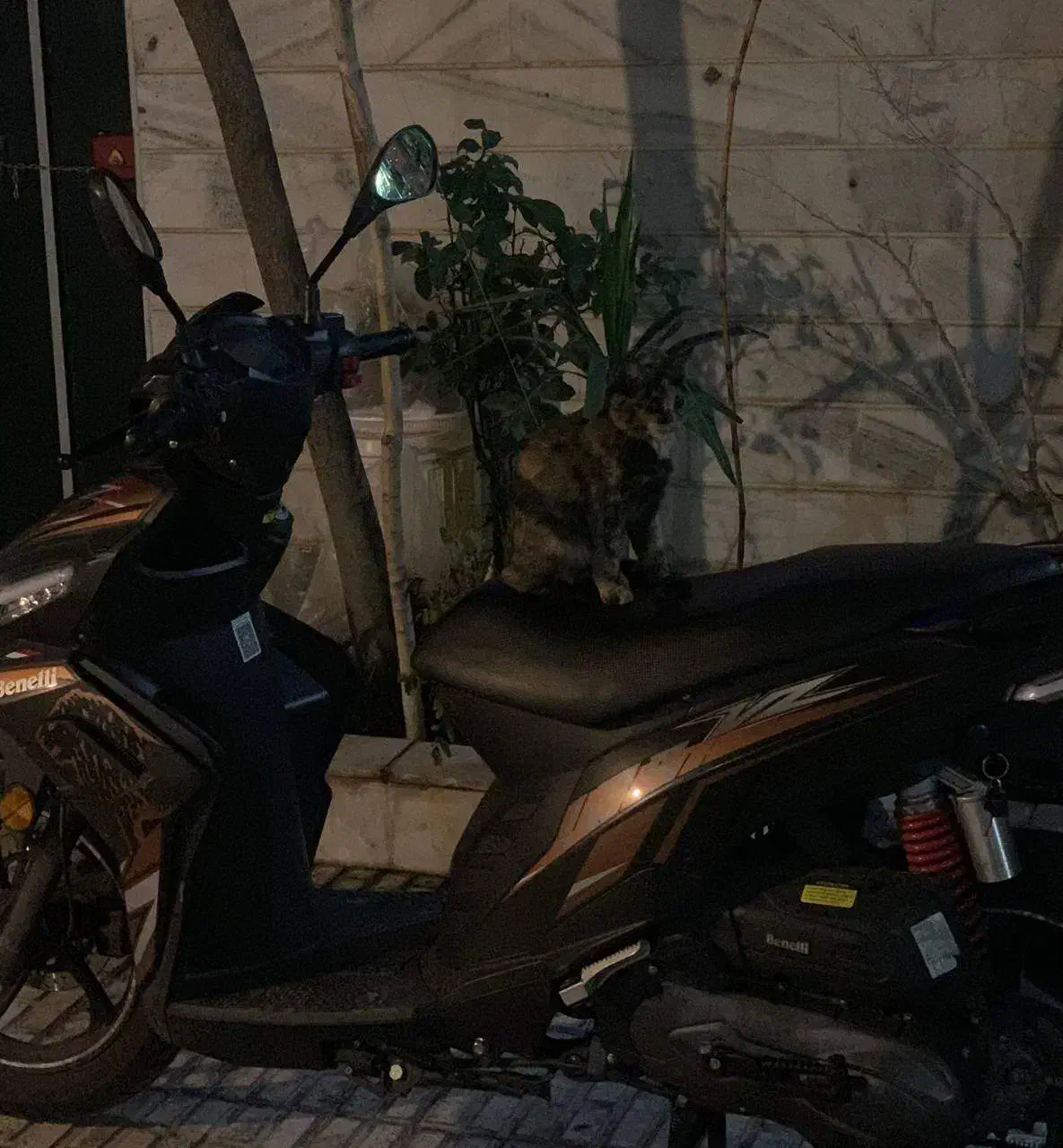 موتورسیکلت بنلی وی زد در حد نو|موتورسیکلت|تهران, ایرانشهر|دیوار