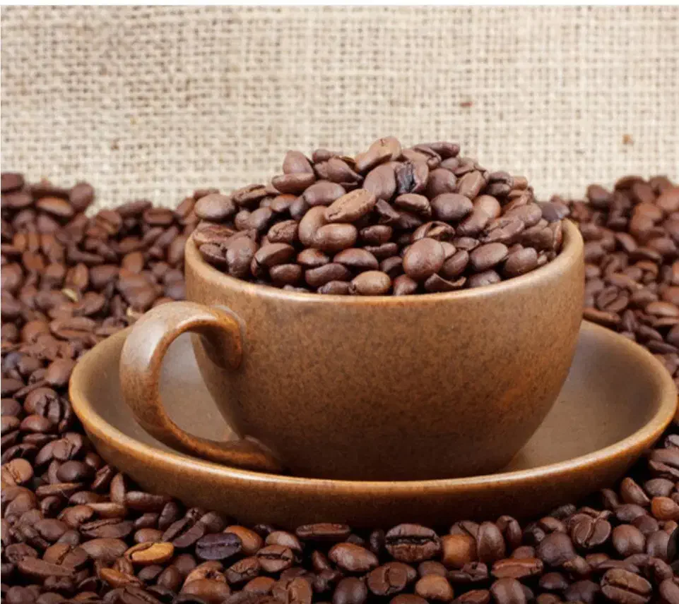 پخش دان قهوه|عمده‌فروشی|رشت, جهاد|دیوار