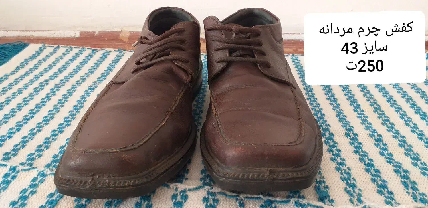 کفش چرم مردانه و زنانه|کیف، کفش، کمربند|پرند, فاز ۵|دیوار