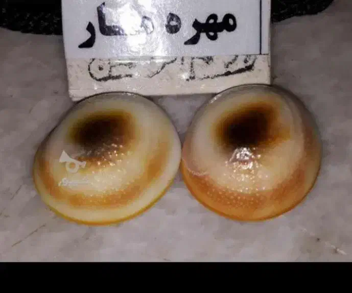 مهره اصلی|کلکسیون اشیاء عتیقه|سیب و سوران, |دیوار