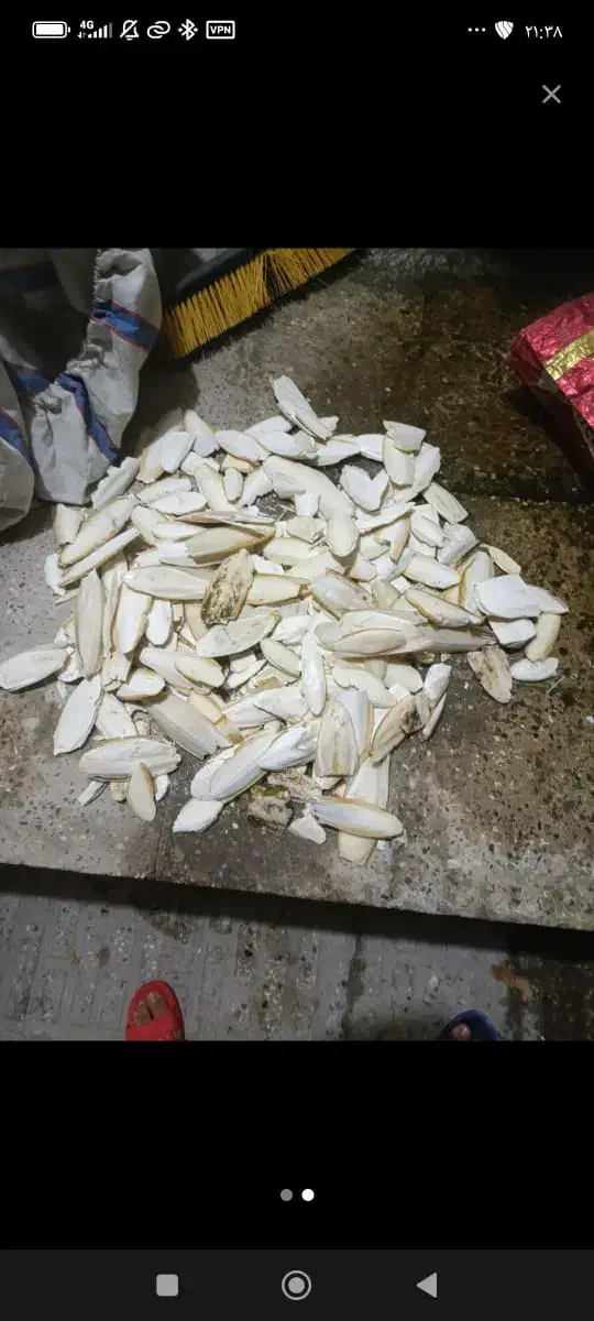 کف دریا|آرایشی، بهداشتی، درمانی|بندر کنگان, |دیوار