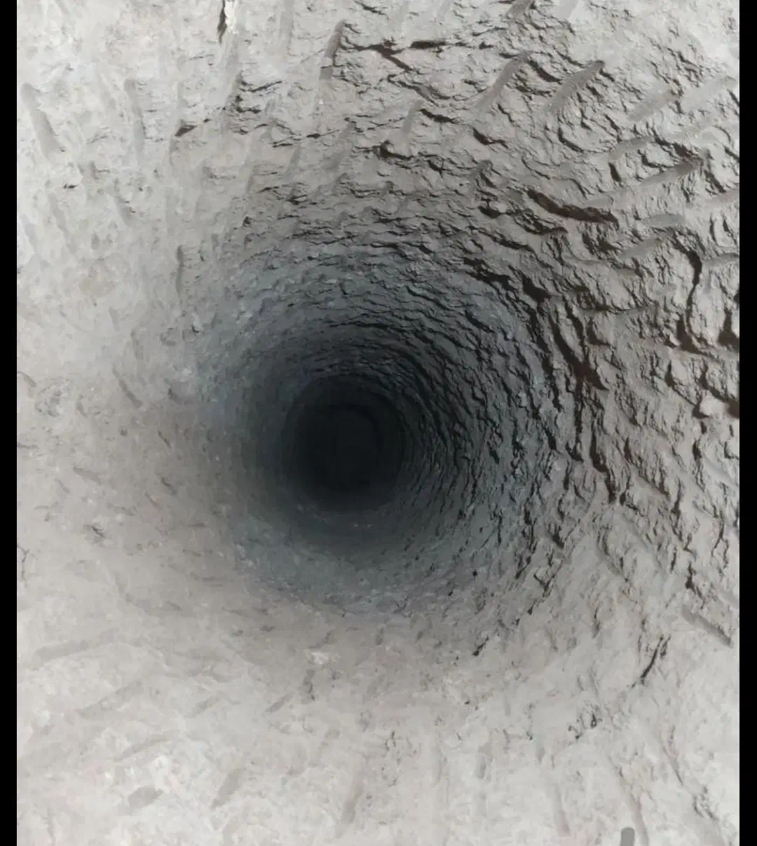 باغبانی و چاه کنی|خدمات باغبانی و درختکاری|برخوار, |دیوار