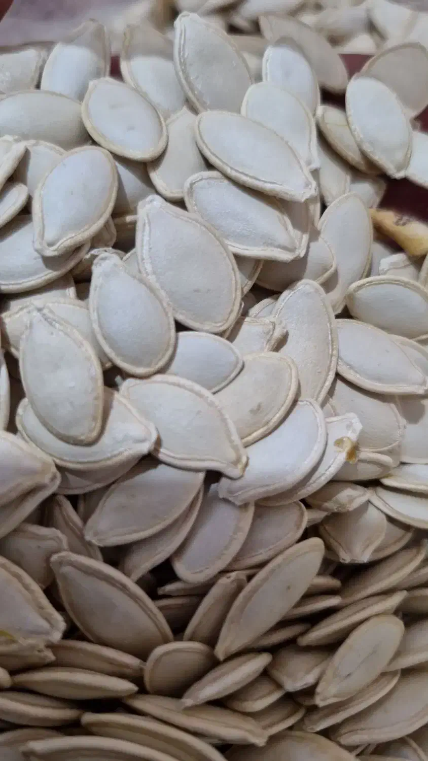 تخمه کدو|خوردنی و آشامیدنی|بهمن صغاد, |دیوار